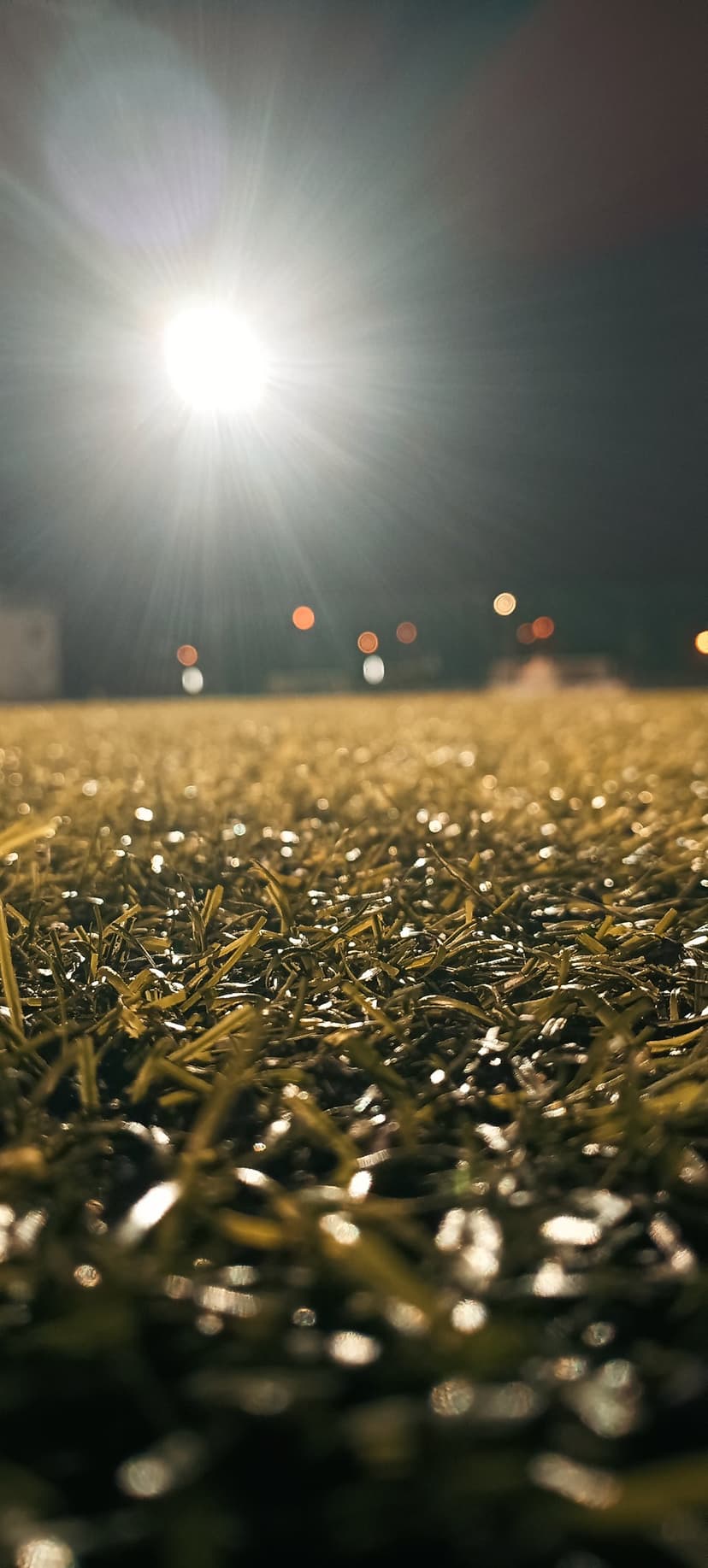 Soccer field turf with dew drops glows under a bright stadium light with lens flare and bokeh background.