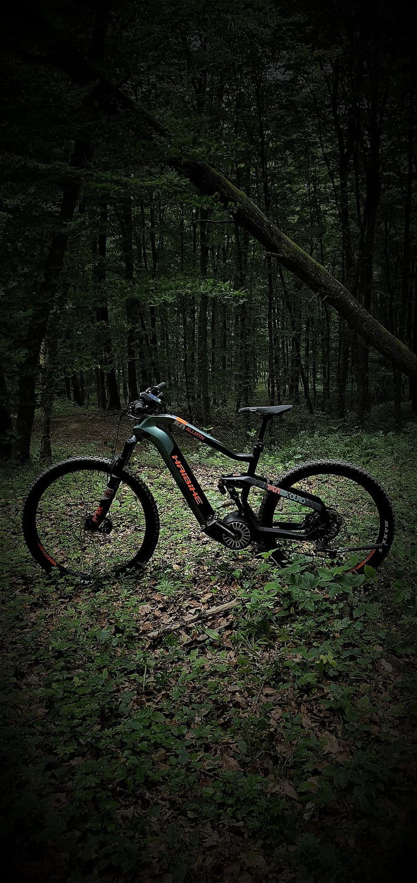 Green electric mountain bike parked on a mossy forest floor beneath a dark canopy of tall woodland trees.