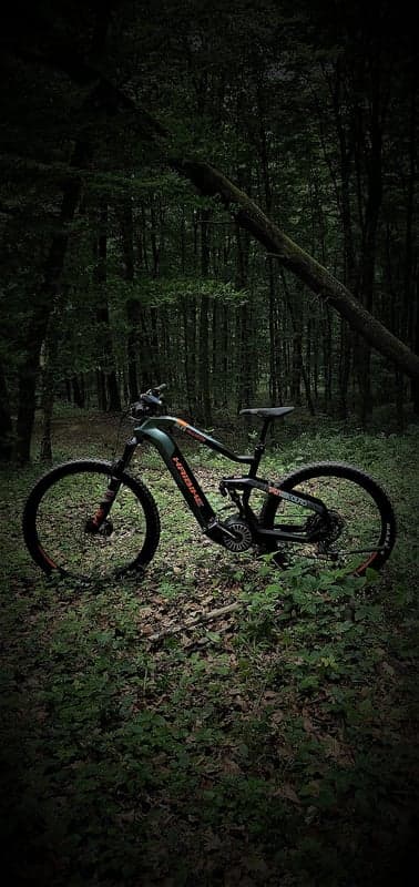 Green electric mountain bike parked in a dark forest