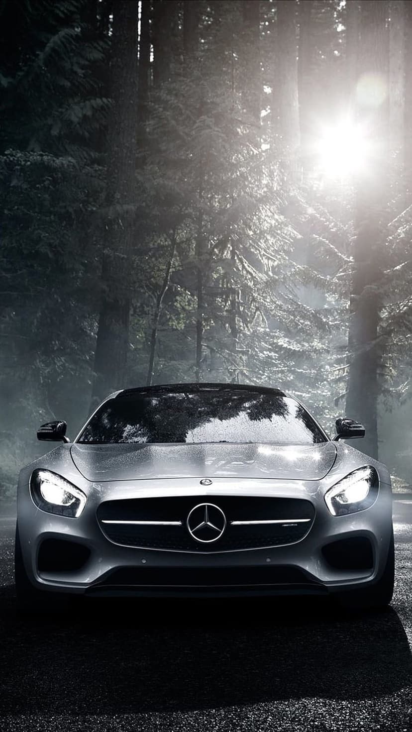 Silver Mercedes-AMG GT sports car parked on a wet asphalt forest road under misty morning sunlight.