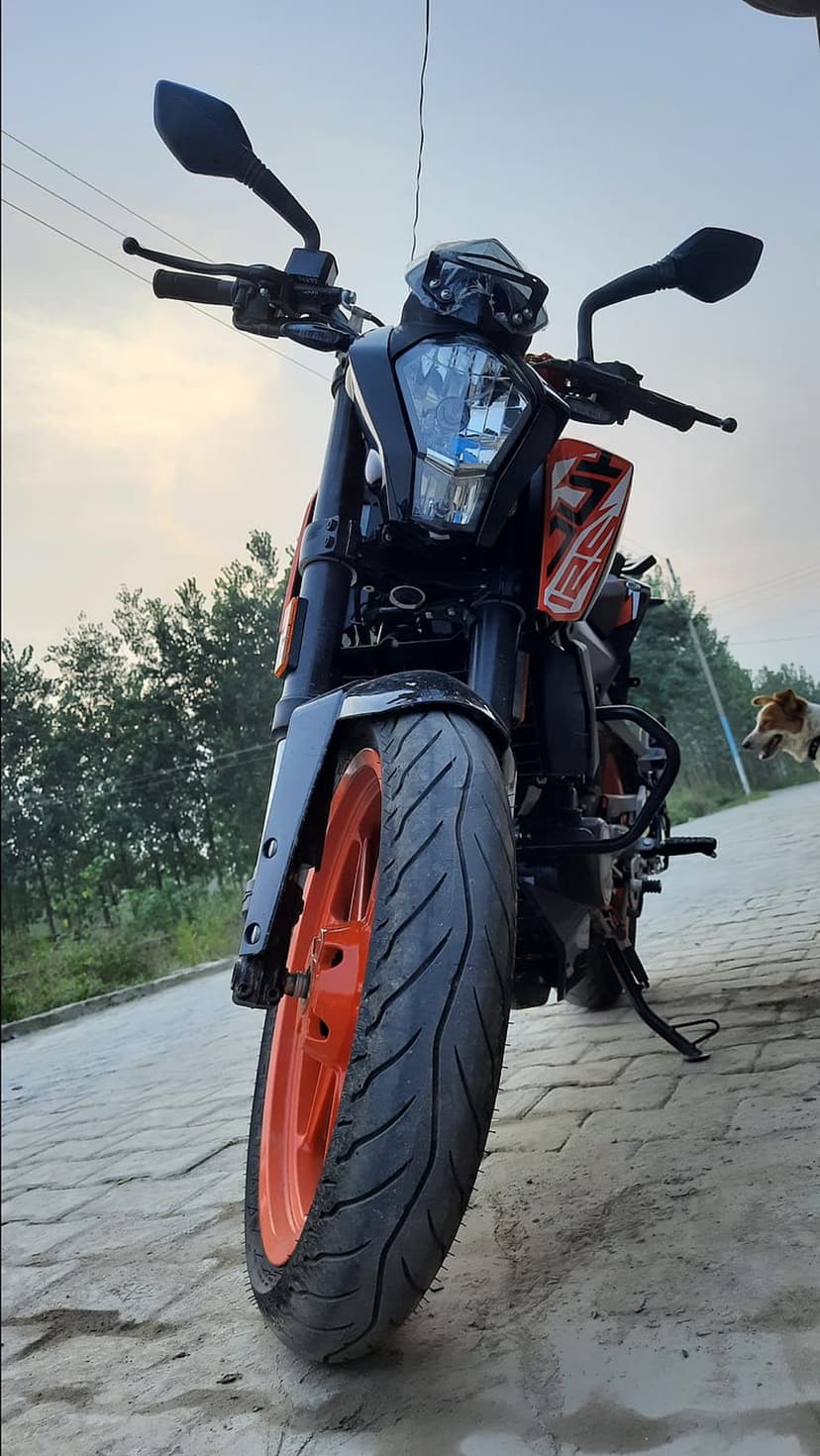 KTM Duke motorcycle with orange wheels and black bodywork parked outdoors on pavement near green trees.