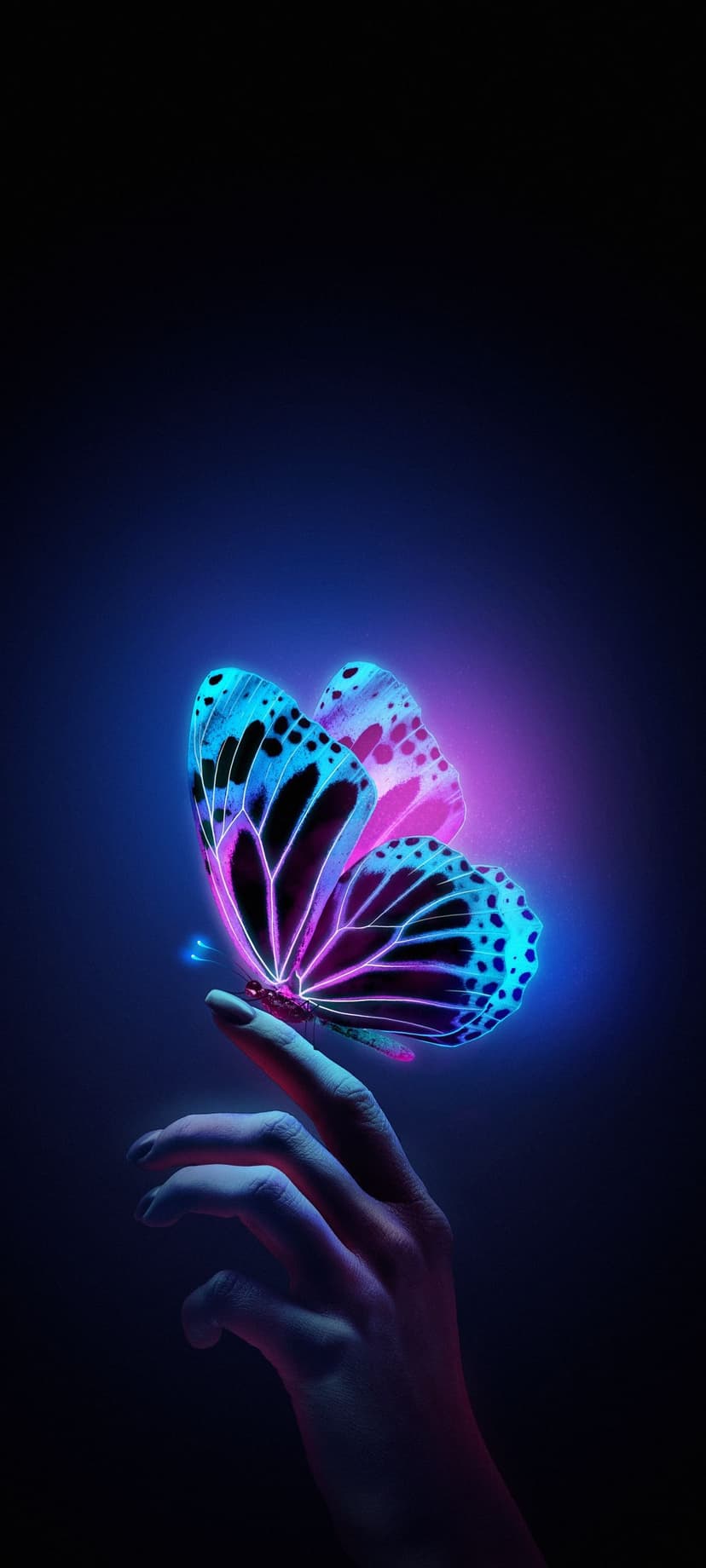 Butterfly with glowing blue and pink wings perches on a human fingertip against a dark, shadowy background.