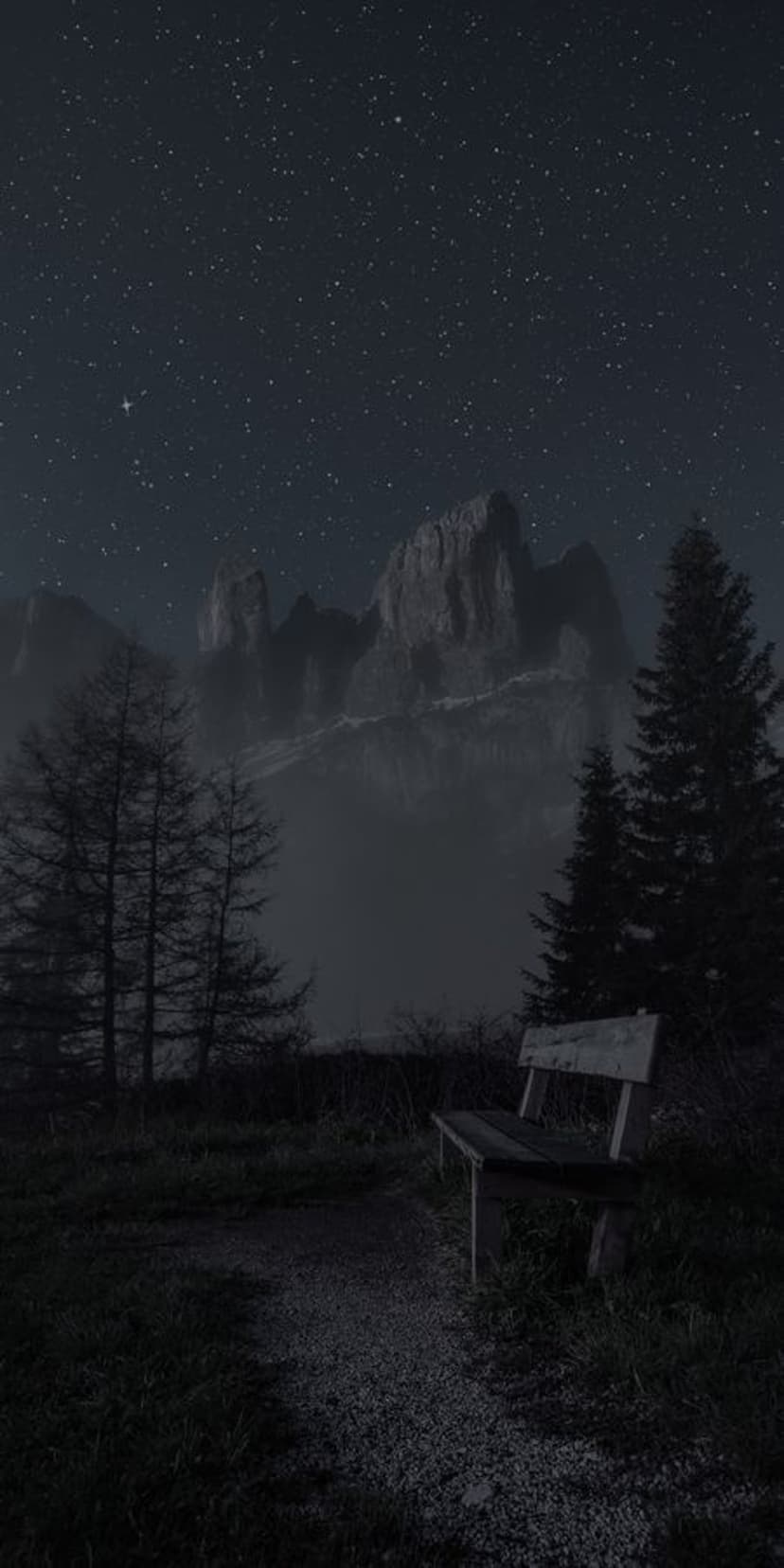 Wooden bench on a gravel path facing mist-shrouded mountains under a star-filled sky with dark pine silhouettes.