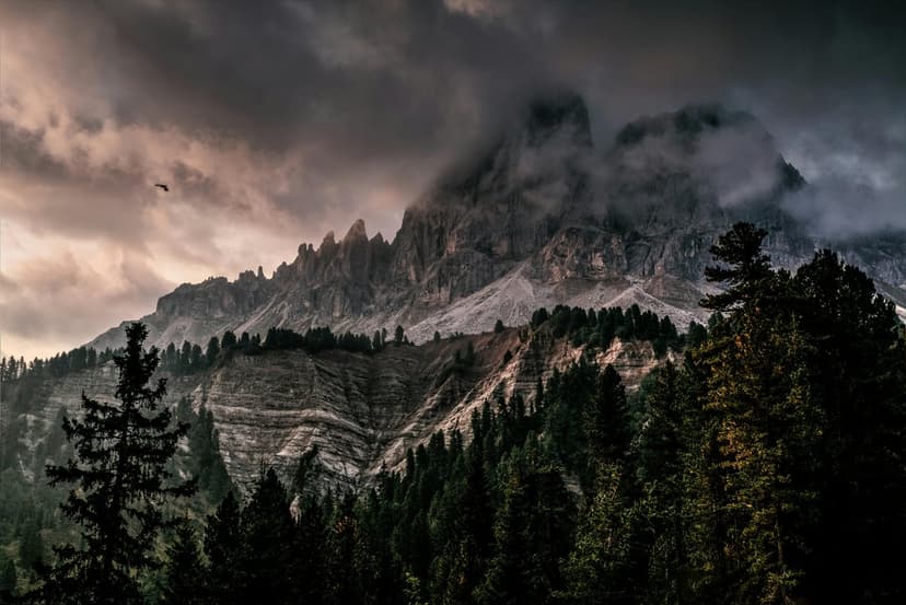 Jagged mountain peaks emerge from thick fog above a dense evergreen forest with a small bird in flight.