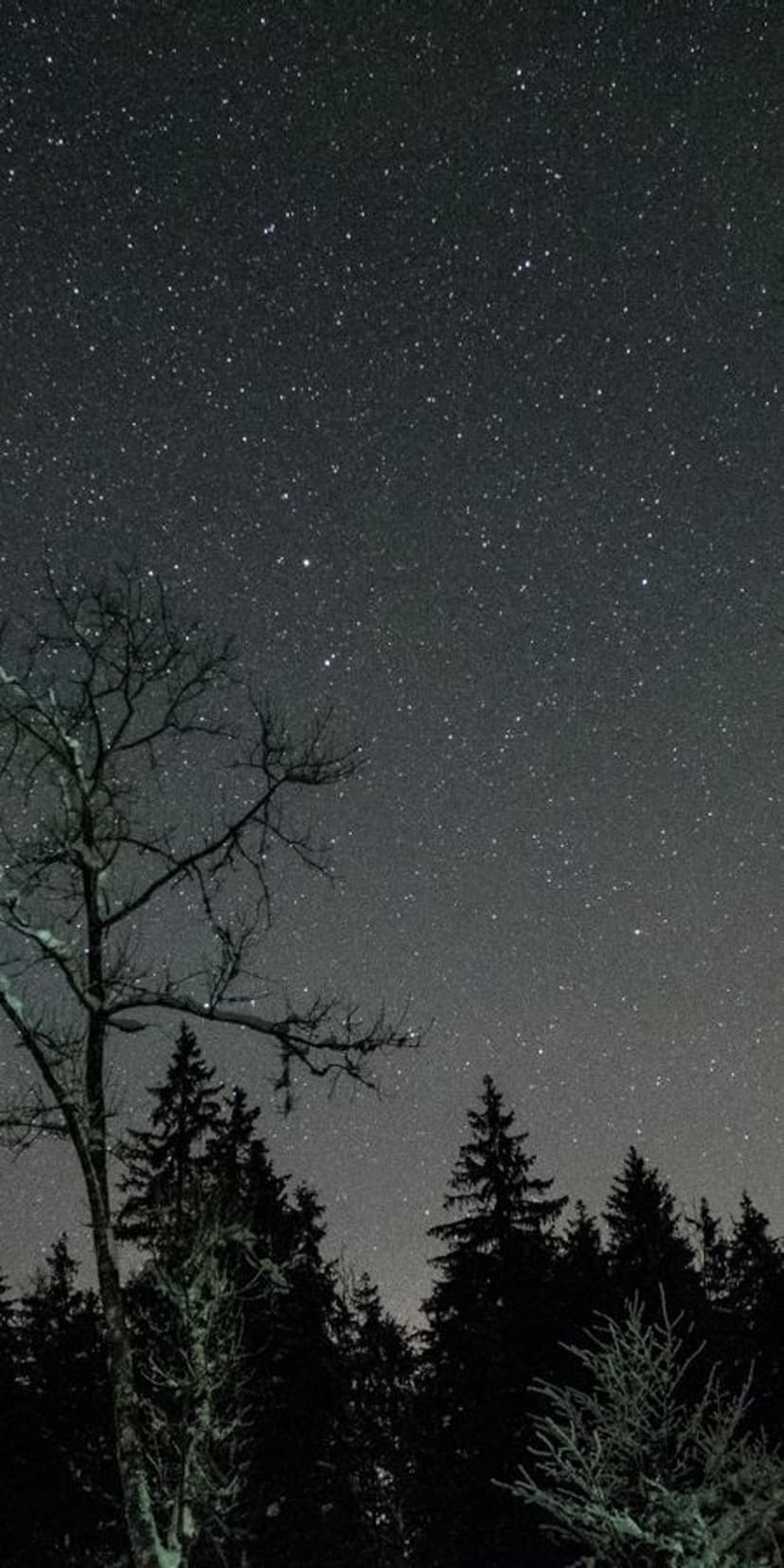 Snow-covered mountain peaks under a starry night sky with the Milky Way galaxy stretching across the dark horizon.