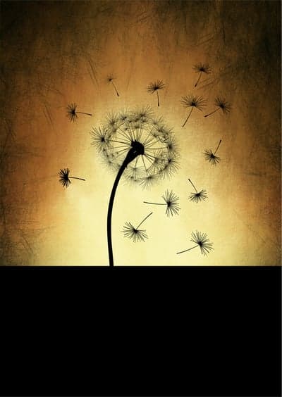Vintage Golden Dandelion Seeds Mobile Wallpaper