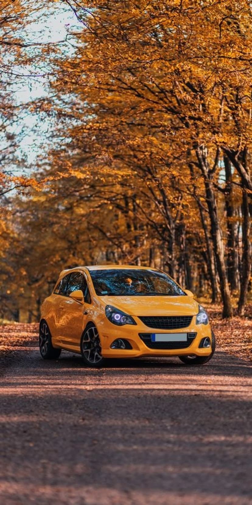 Yellow sports car parked on a dirt road covered in orange autumn leaves within a dense, golden forest setting.