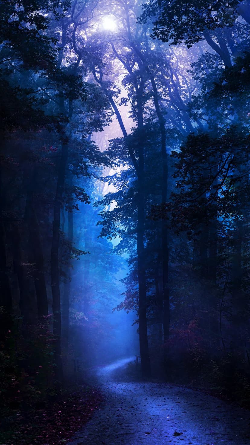 Winding dirt path through a dense forest filled with thick blue fog and soft sunlight rays through the trees.
