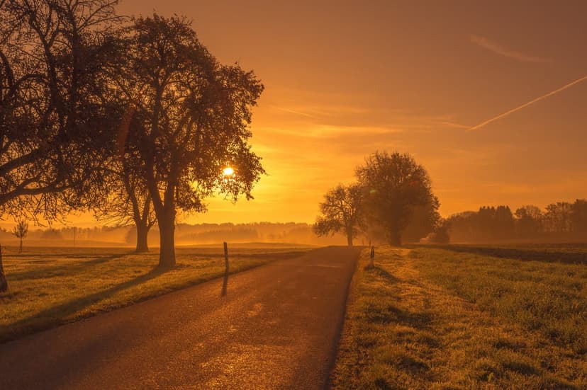 Sunlit country road lined with silhouetted trees under a glowing orange sky with soft morning mist in the distance.