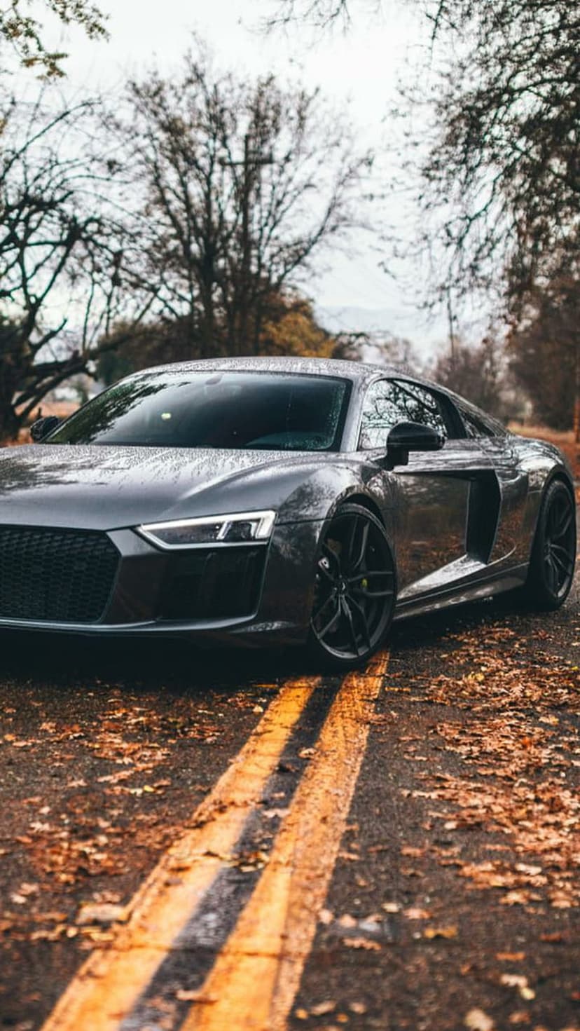 Audi R8 supercar on a wet asphalt road with yellow lines and scattered orange autumn leaves in a low-angle shot.