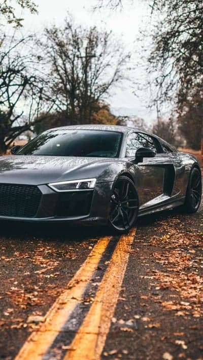 Audi R8 Supercar on Moody Autumn Road Mobile Wallpaper