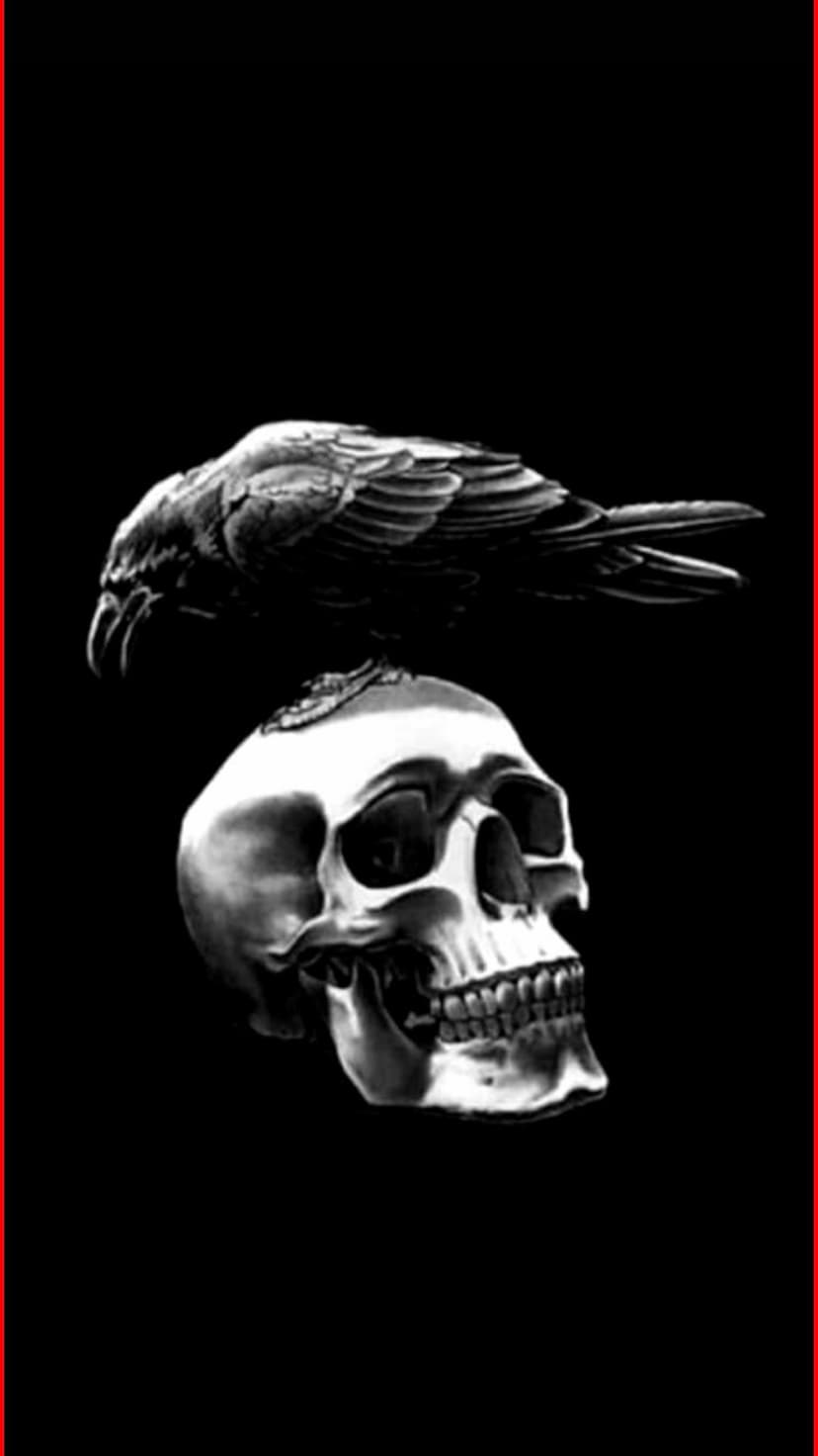 Black raven perched on a human skull with high-contrast lighting against a solid dark background for mobile screens.