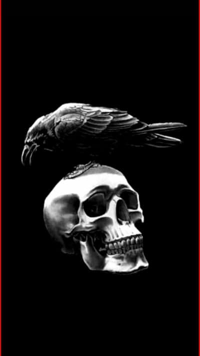 Raven on Skull: Gothic Art with Dark Symbolism