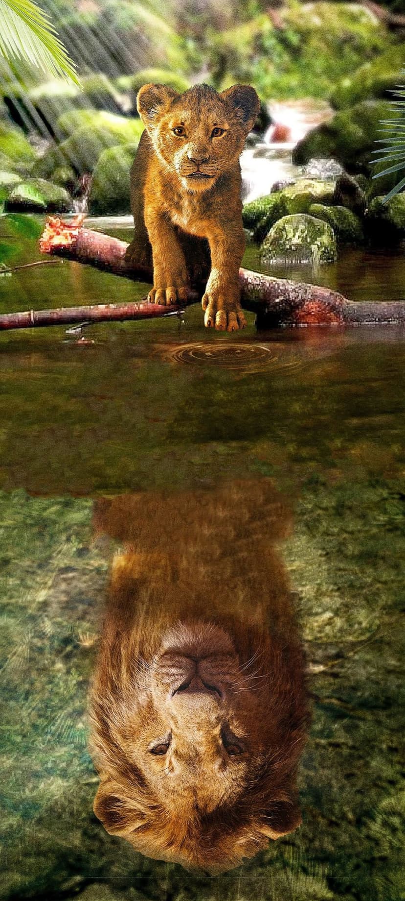Lion cub on a log sees a majestic adult lion reflected in a stream surrounded by lush green jungle plants.