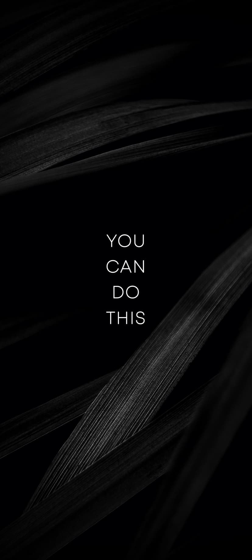 YOU CAN DO THIS text in bold white letters centered over a dark, textured organic background for mobile screens.