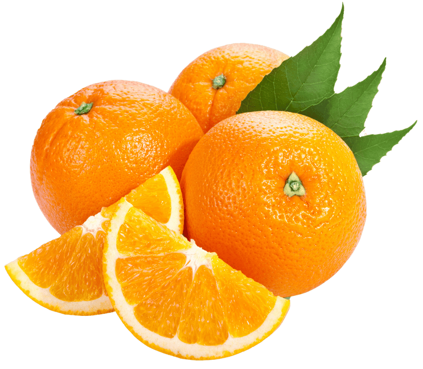 Tangerine orange juice illustration featuring whole citrus fruits and sliced bitter oranges on a white background.