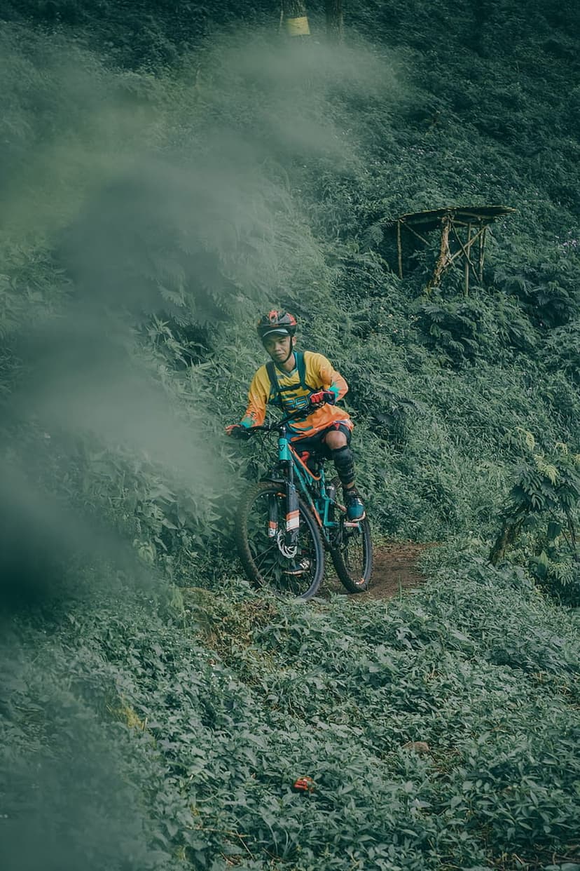 Mountain biker in bright gear pauses on a foggy dirt trail surrounded by dense green ferns and forest trees.