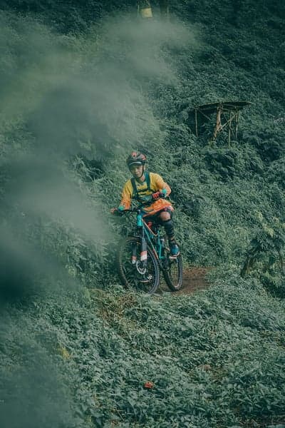 Mountain biker on lush green trail