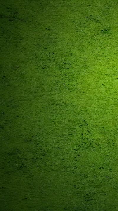 Green Textured Background with Subtle Lighting Gradients