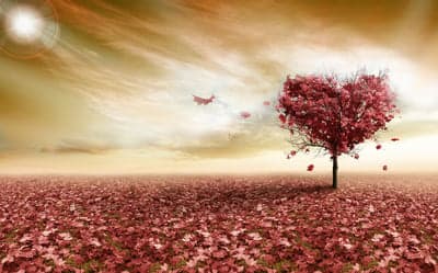 Heart-shaped tree in a field of red leaves