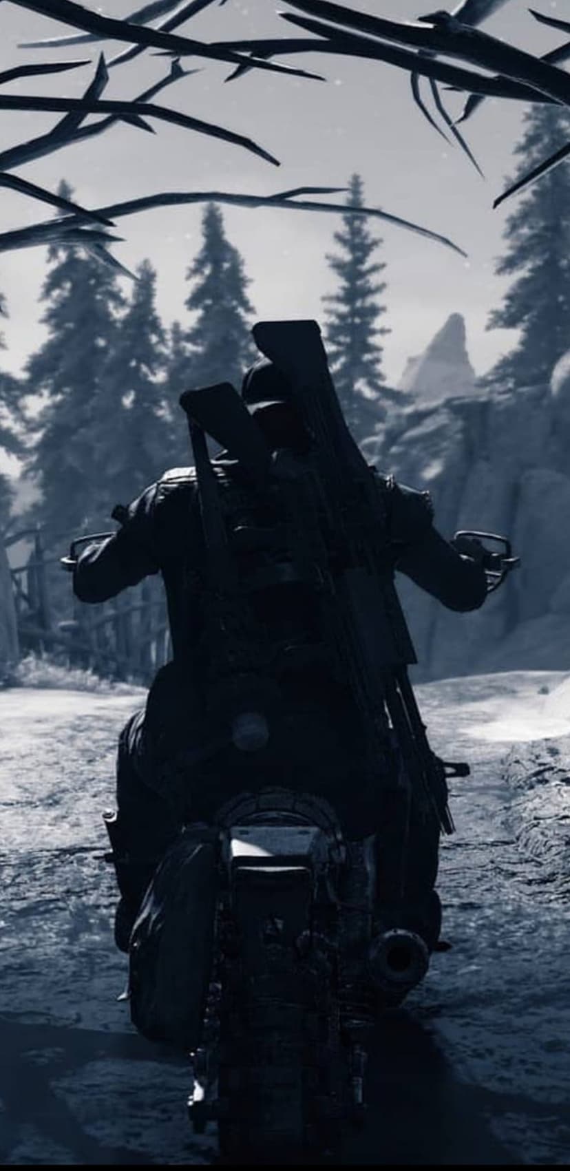Silhouetted motorcyclist with rifles on back riding a dirt path through snowy mountains and pine trees.