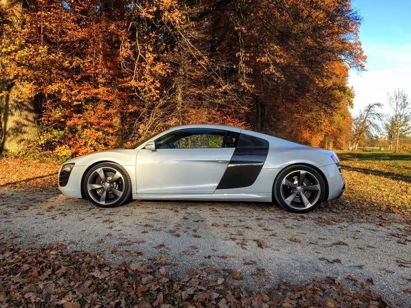 White Audi R8 supercar parked on a gravel road surrounded by orange autumn trees and fallen leaves in sunlight.