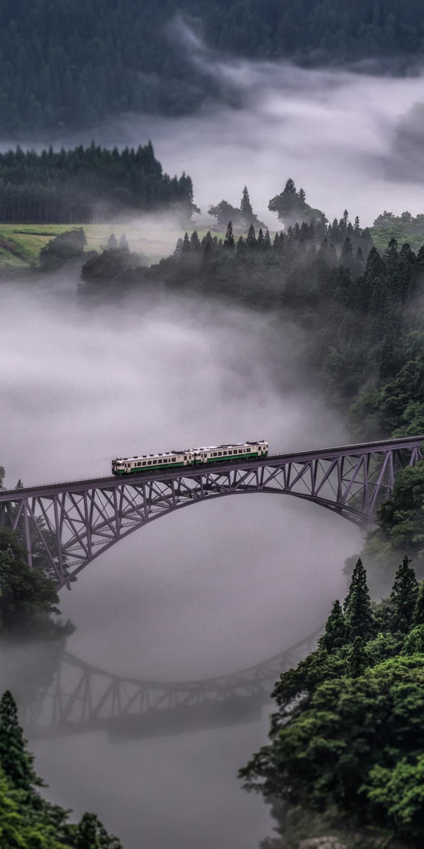 Green train on an arched stone bridge crossing a deep valley filled with thick white mist and evergreen trees.