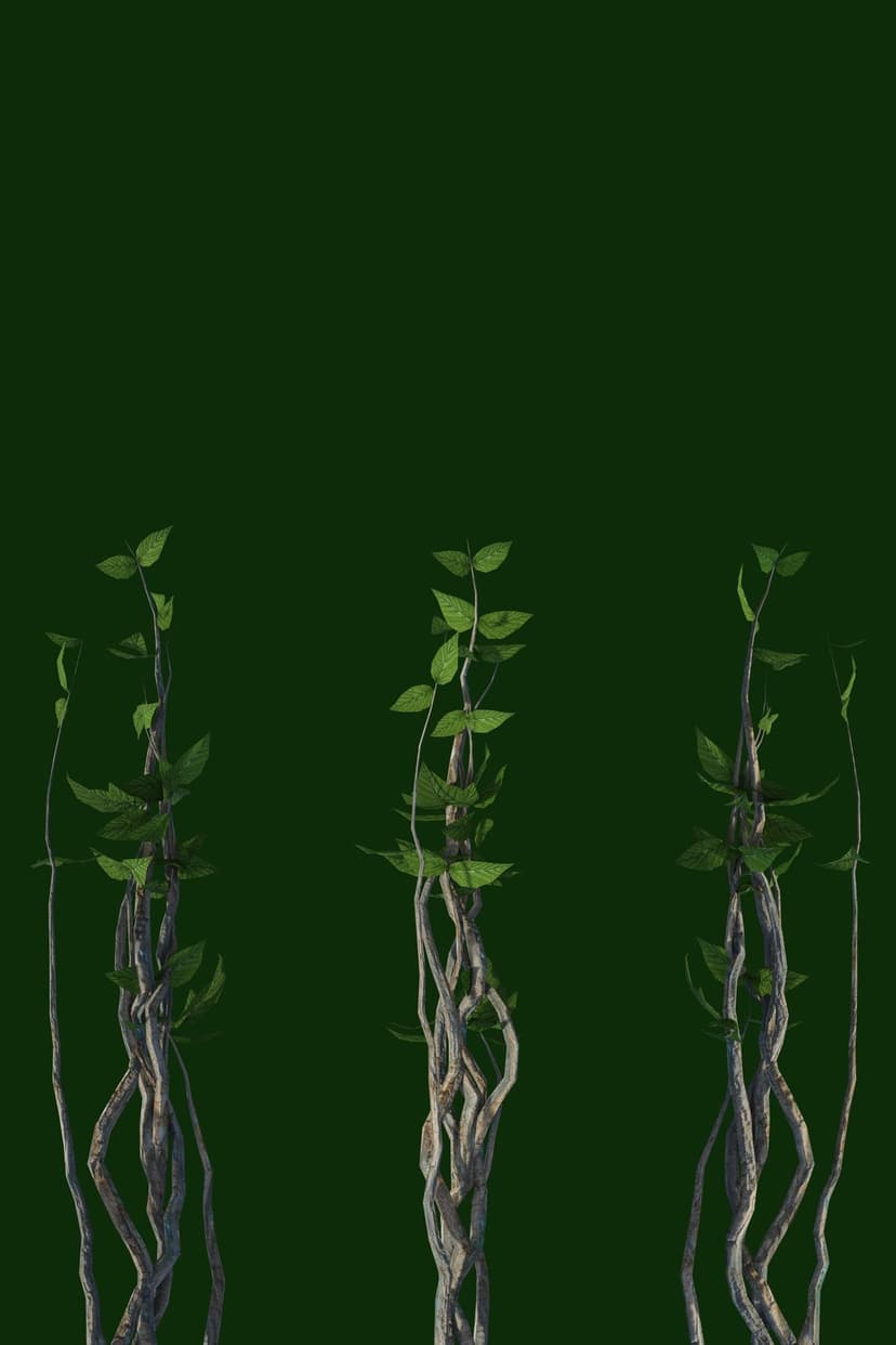 Three intertwined vines with green leaves and textured bark ascend against a dark emerald green backdrop.