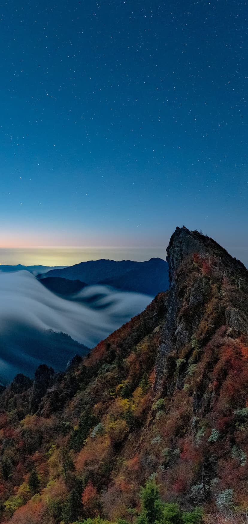 Rugged rocky peak with red autumn leaves overlooks white mist in a valley under a dark blue starry night sky.