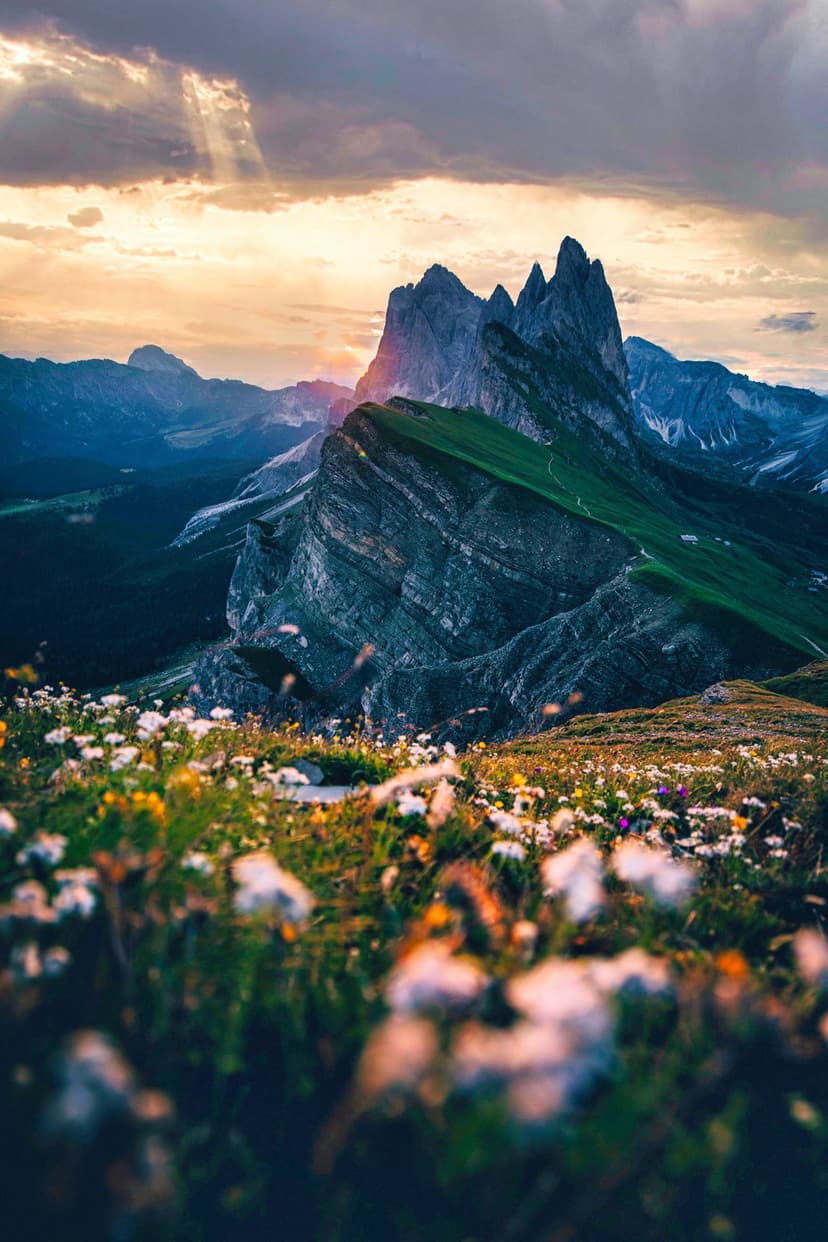 Sharp mountain peaks tower over a field of vibrant wildflowers under a dramatic sunlit sky during sunset.