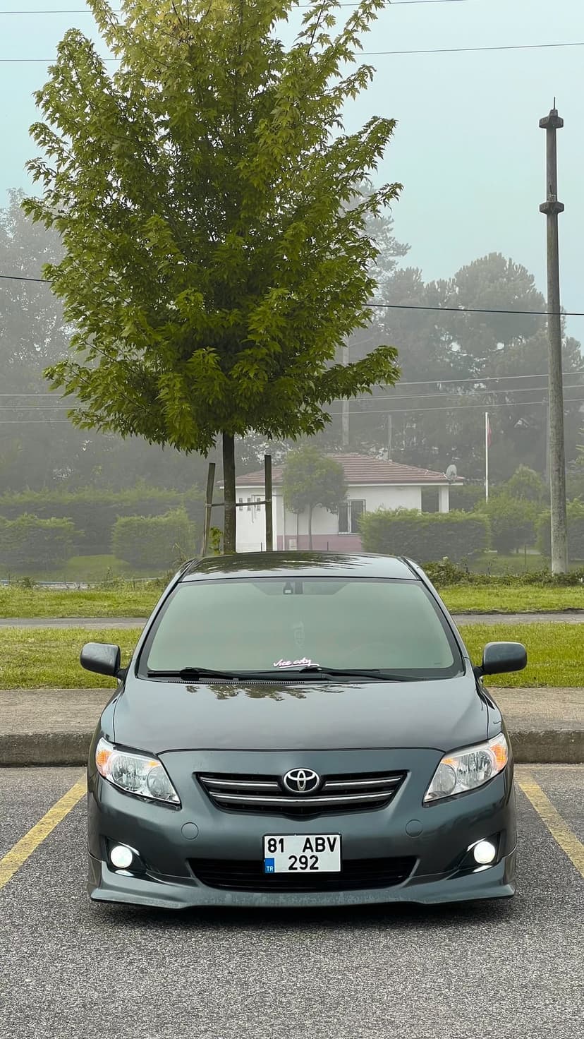 Grey Toyota Corolla with illuminated headlights parked in front of a large leafy tree on a foggy, overcast morning.
