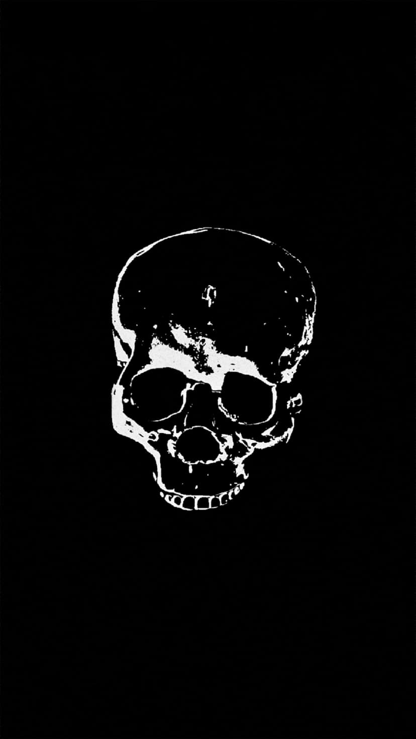Weathered human skull with deep eye sockets and textured cranium centered on a solid black vertical background.