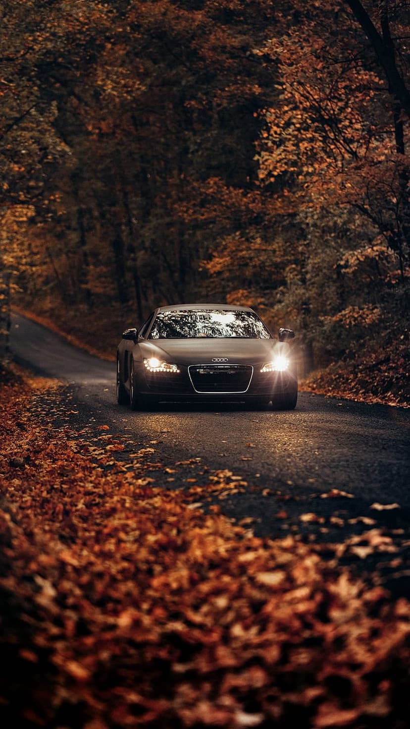 Audi R8 sports car with glowing headlights on a forest road covered in orange autumn leaves at twilight.