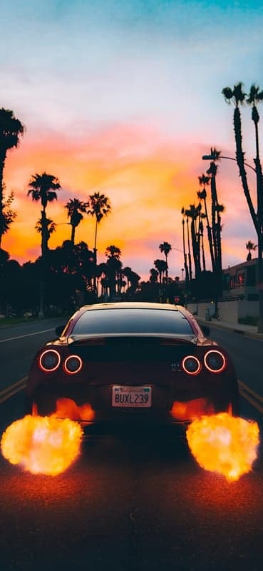 Nissan GT-R Flames Sunset Palm Tree Cruise