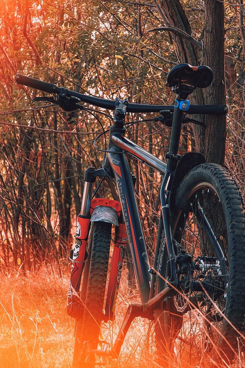 Black and red mountain bike leaning on a tree trunk in a golden autumn forest with sunbeams on the dry grass.