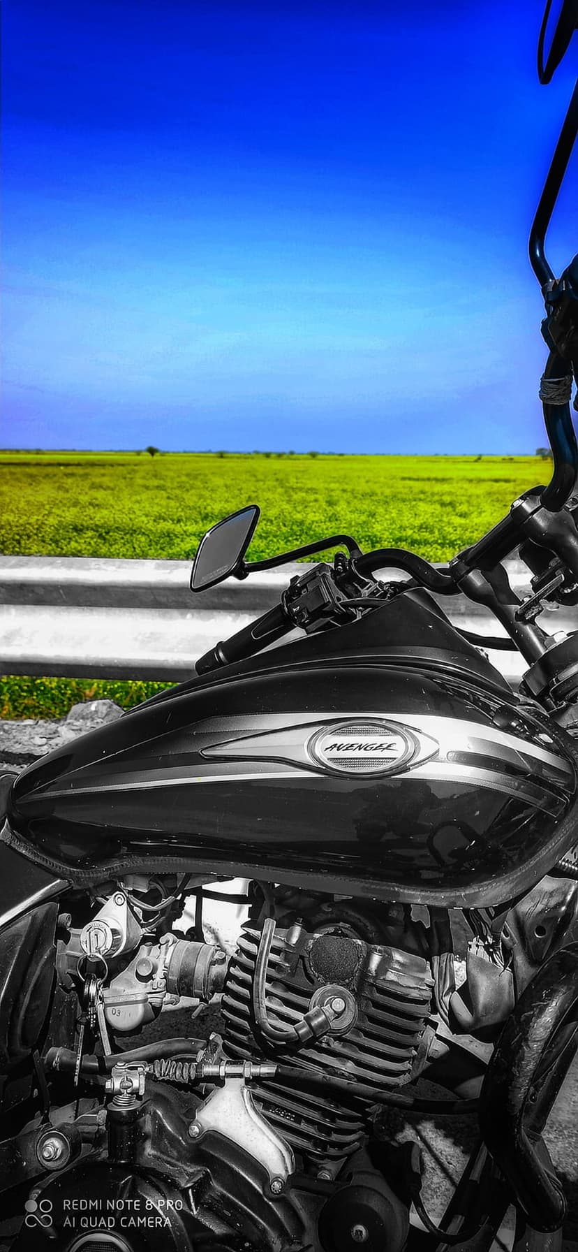 Black cruiser motorcycle parked next to a yellow flower field under a clear blue sky during a sunny day.