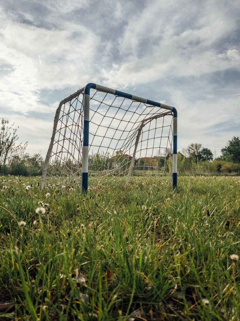 Weathered blue and white soccer goal stands in a field of tall grass and dandelions under a cloudy sky.