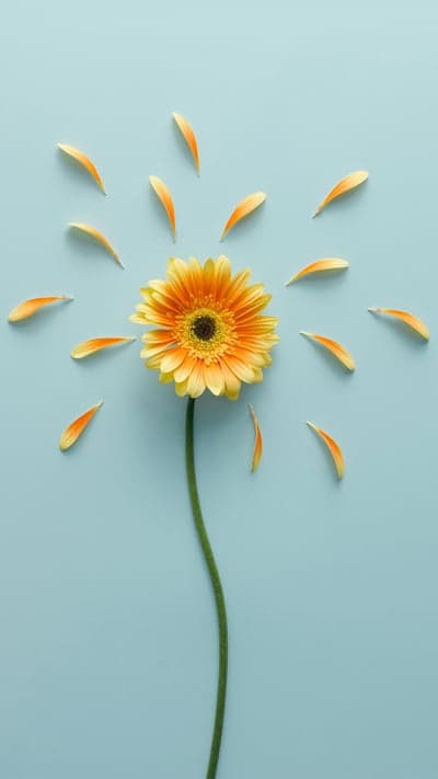 Ephemeral Beauty - A Collection of Floral Wonders