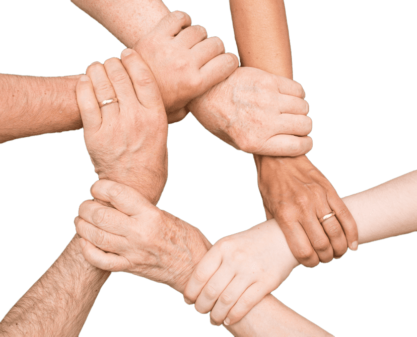 Interlocking diverse hands joined together show varied skin tones and ages against a transparent background.