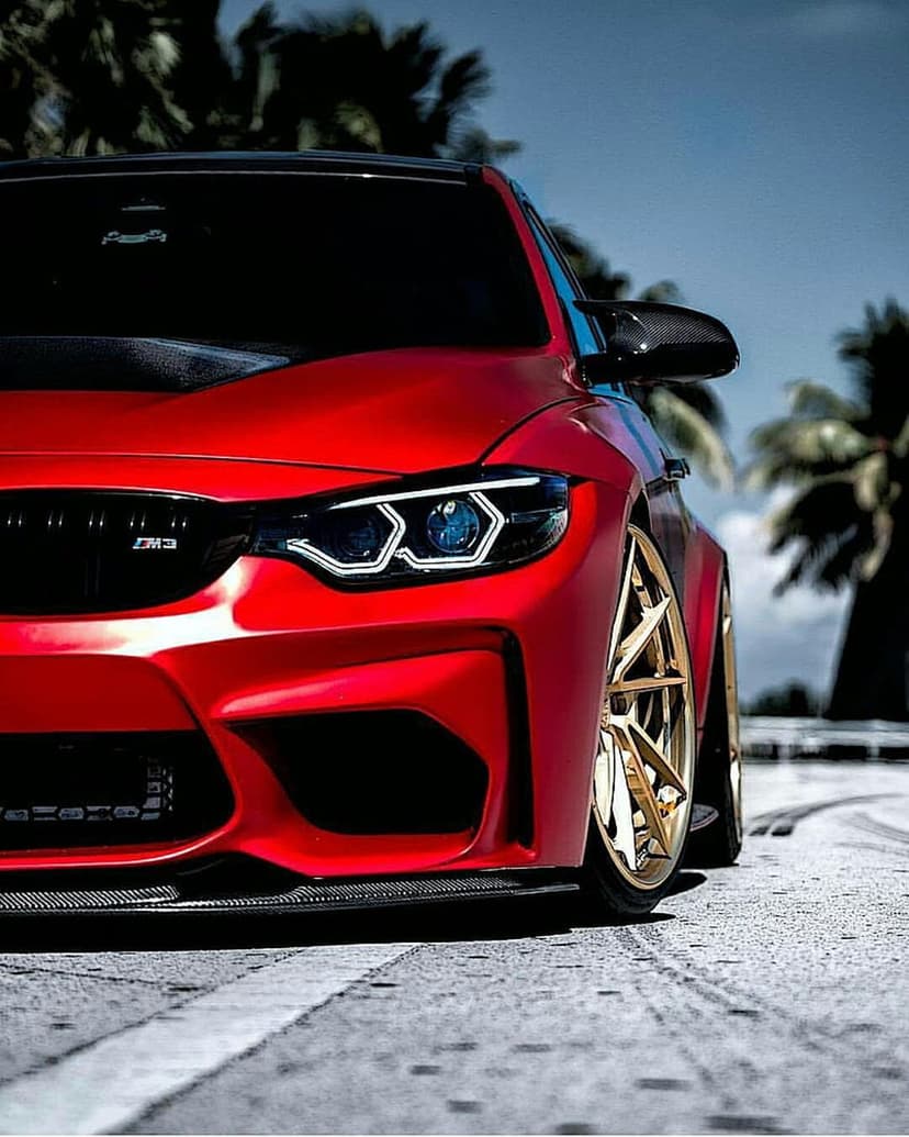 Red BMW M4 coupe with gold aftermarket wheels parked on a coastal road under palm trees and a clear blue sky.