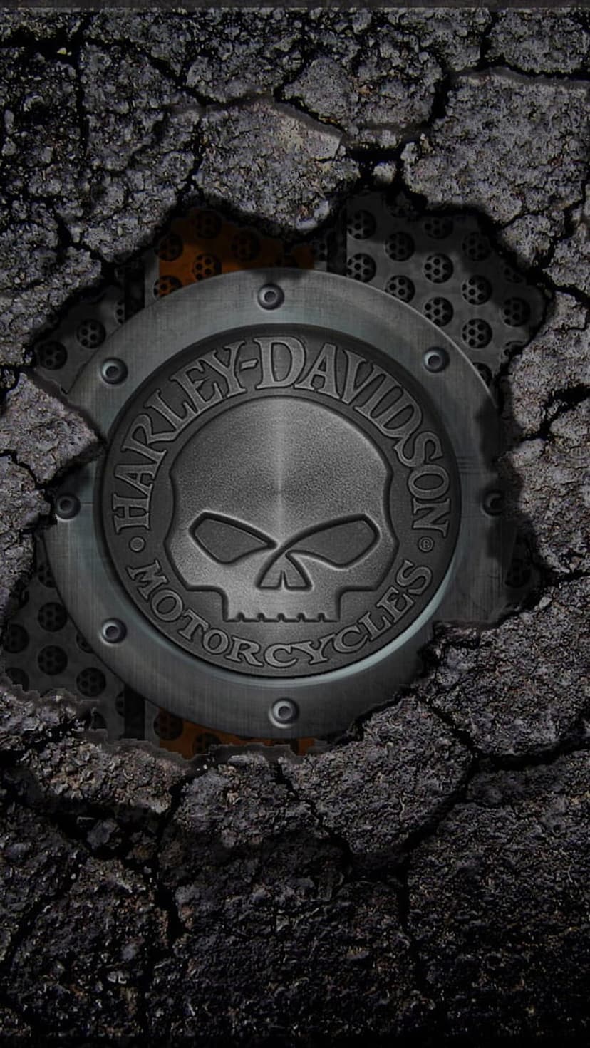 Silver skull logo centers on cracked black asphalt with steel honeycomb mesh under dramatic low-key lighting.