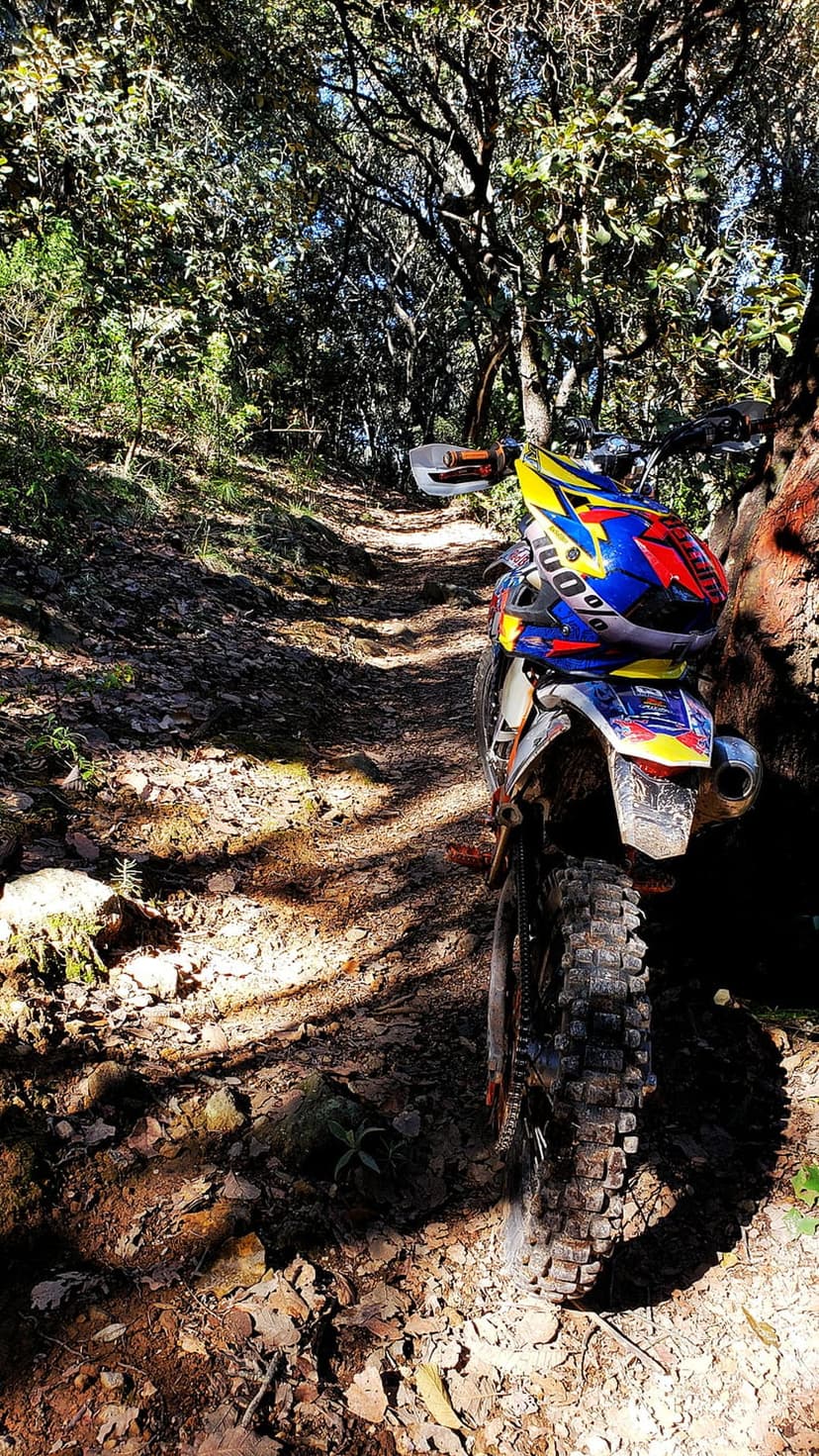 Dirt bike parked on a forest trail under dappled sunlight filtering through dense green overhead trees.