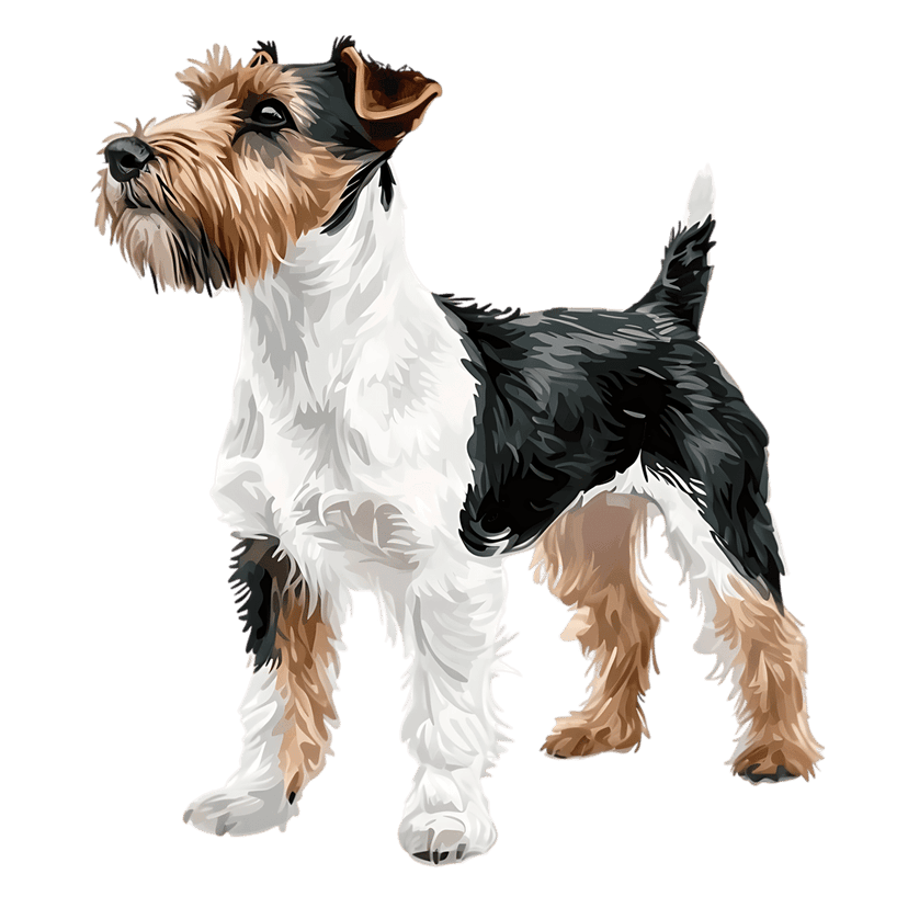 Wire Fox Terrier standing in side profile showcasing tricolor wiry fur against a solid black background.