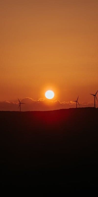 Vapor Trail - Misty Road Winding Through Dark Trees