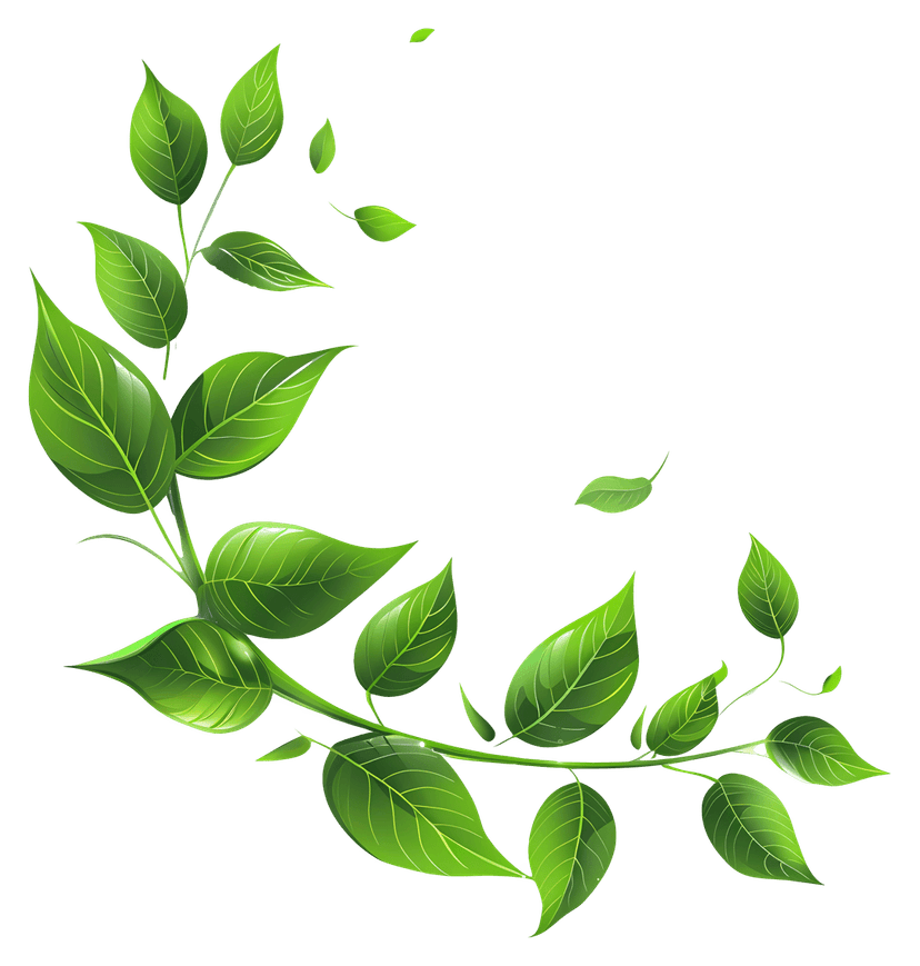 Green vine foliage illustration showing a curved stem with multiple textured leaves over a transparent background.