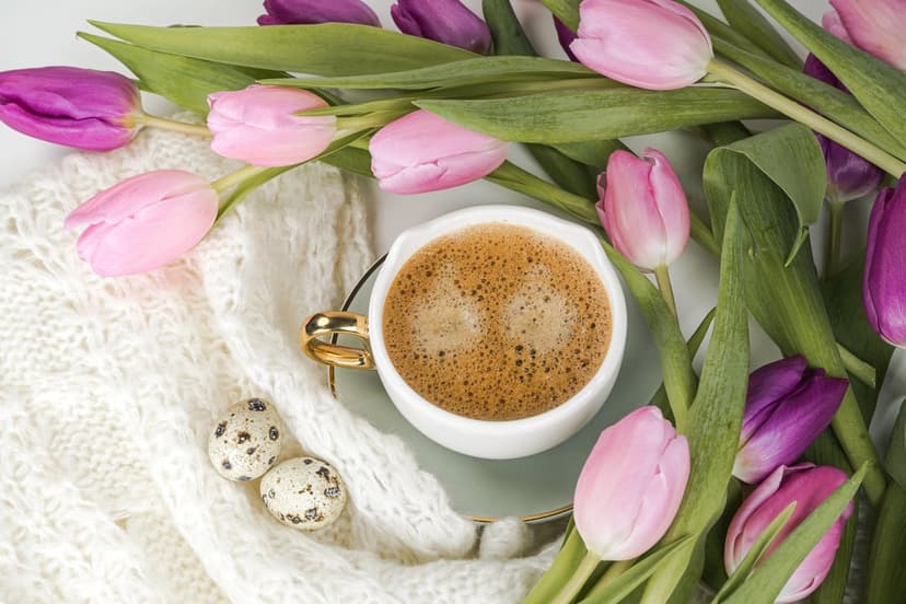 White coffee mug and pink tulips on a cream knitted blanket with two small speckled quail eggs nearby.
