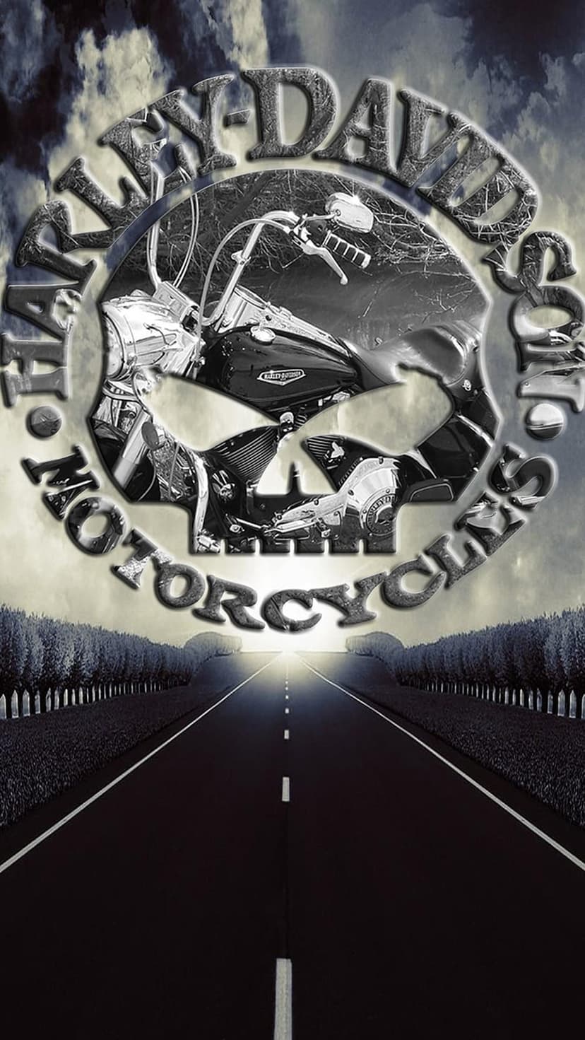Harley-Davidson cruiser motorcycle integrated into a skull emblem on a dark road leading toward a bright light.