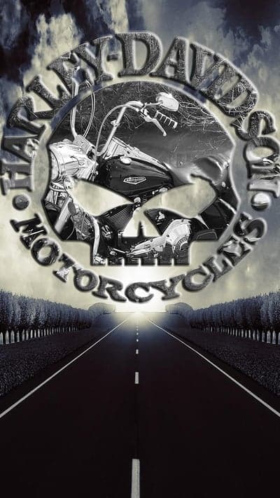 Harley-Davidson Motorcycles Skull Road Art