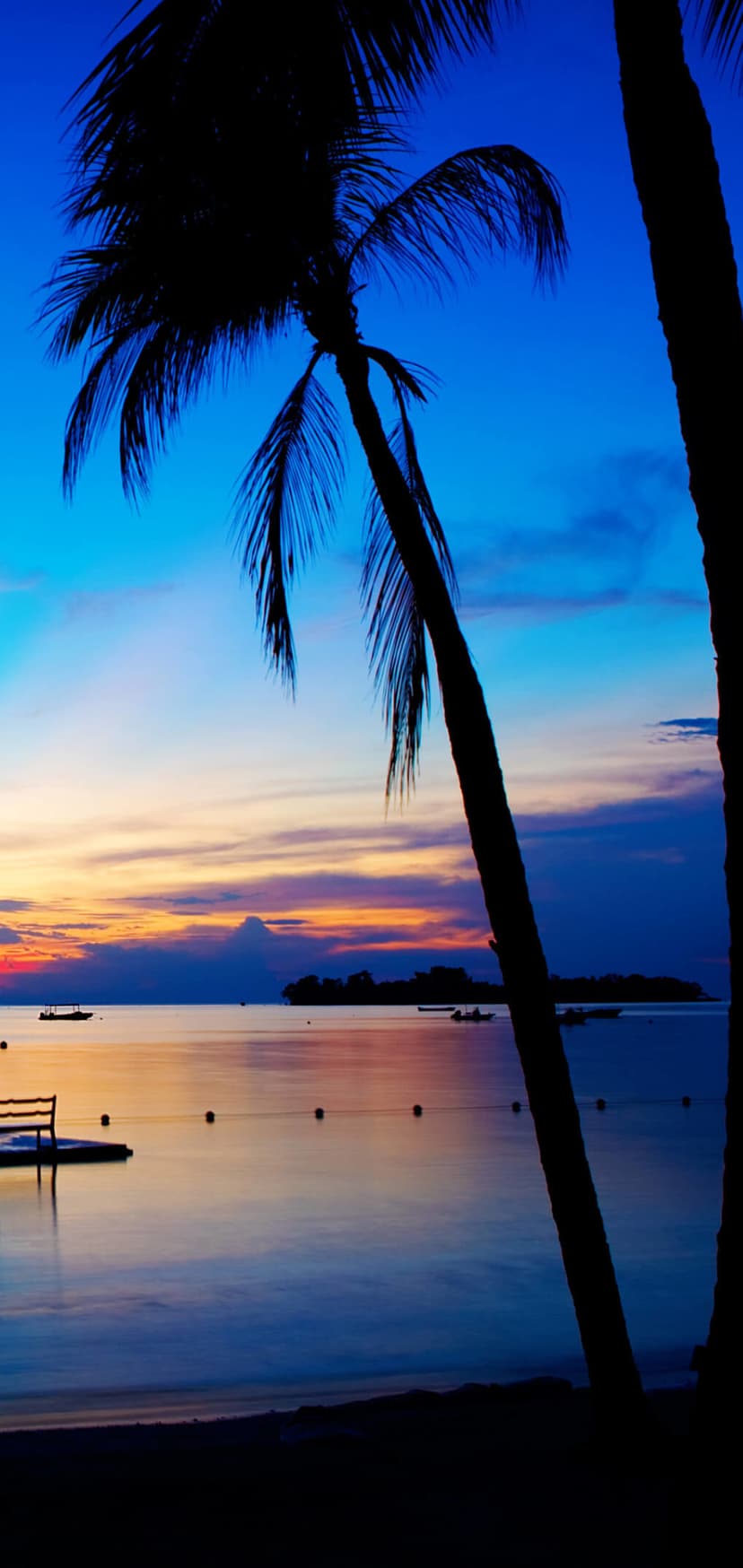 Palm tree silhouettes frame a purple and orange sunset over a calm ocean bay with distant boats and a wooden pier.