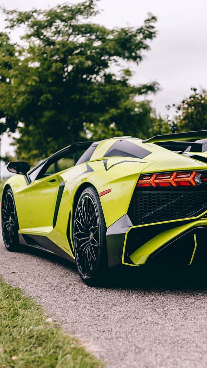 Lime green Lamborghini Aventador parked on a paved road surrounded by dense forest trees at a rear-side angle.